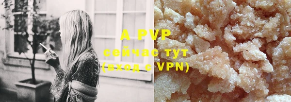 твердый Белокуриха