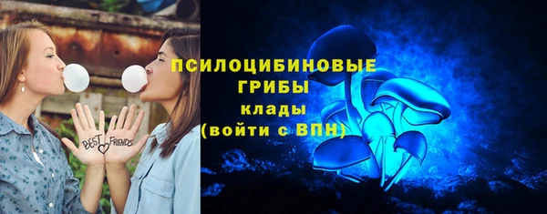 твердый Белокуриха